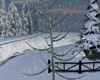 Winter Tree With Lights