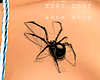 Spider. Tattoo 3D