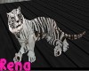 White Tiger SleepyTime