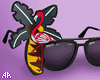 $ Palm Beach Sunglasses
