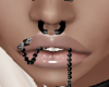 BlkPVC: Horn Septum