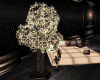 :YL:ScaLa Potted Tree
