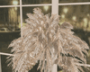 "SAV" CELA PAMPAS & VASE