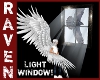 Raven Light Window
