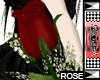 Rose valentine