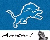 Lions NFL Jersey (M)