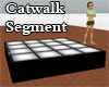 Catwalk Segment