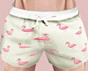 ♕ Flamingo Shorts