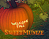 SM►Autumn Pumpkin V1