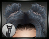ariel Magnetic