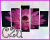 C2u Pink Water Lily Pic