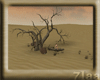 desert-tree