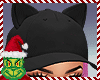 [BOB] Kitty P!nk