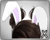 ||X|| Bunny Ears - Purpl