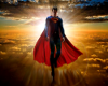 (T)Superman Poster