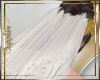 [S] Ivory Wedding Veil