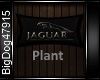 [BD]JaguarPlant
