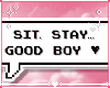 𝓼. be my pet? ♡