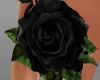 Rose Bag