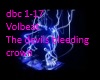 dbc1-17 volbeat