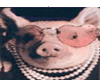 Sexy Piggy
