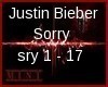 Justin Bieber  Sorry