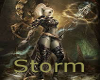 Storm Dynasty Banner 