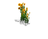 [Pan] Sunflowers
