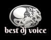 best dj voice