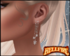 Delicate Snow Earrings