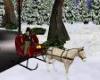 red winter sleigh