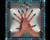 *D* Black Nails/Lace