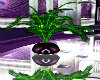 Purple potted plant