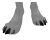 FeetPaws
