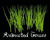 Animated Green Grass