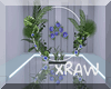 xRaw| Photo Room