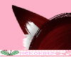 Cat Ear Licorice