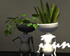 Love Plant