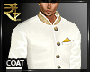 D| Indo Western Coat