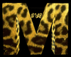 (SW)leopard M