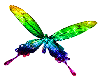 butterfly rainbow anim