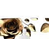 *Roses