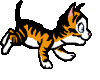 Ginger Cat animation