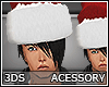 3DS Santa Claus Hat