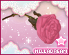 ︱Naudi Rose V2︱
