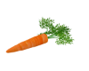 🐇 Carrot Seat