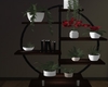 plant and shelf