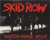 Skid Row Youth Gone Wild