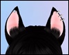 *Y* Cute Fox Ears 02