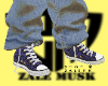 ZM ROA SHOES V2